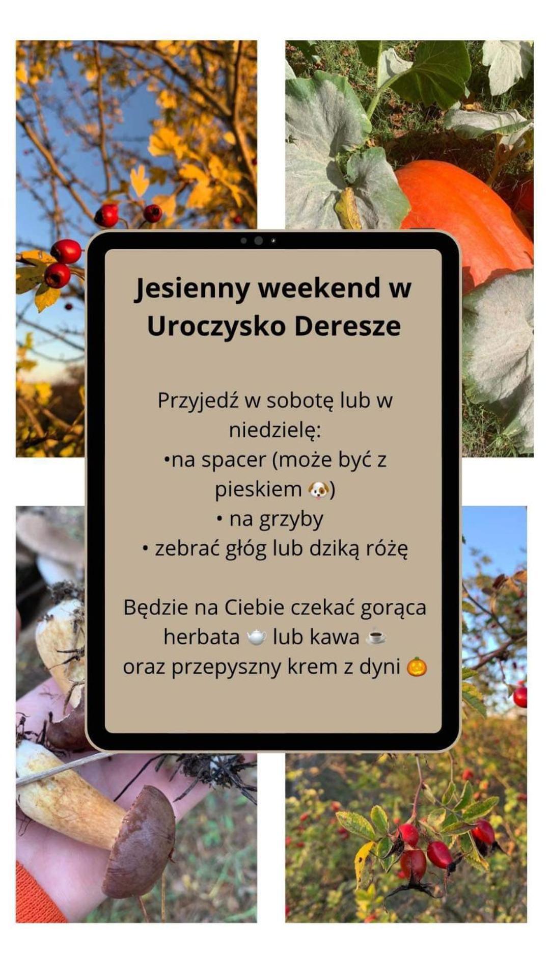 Uroczysko Deresze Villa Gilawy Exterior photo